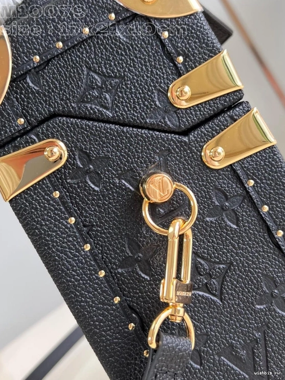 WIS VUITTON Box LOUIS Monogram Camera Canvas 1009